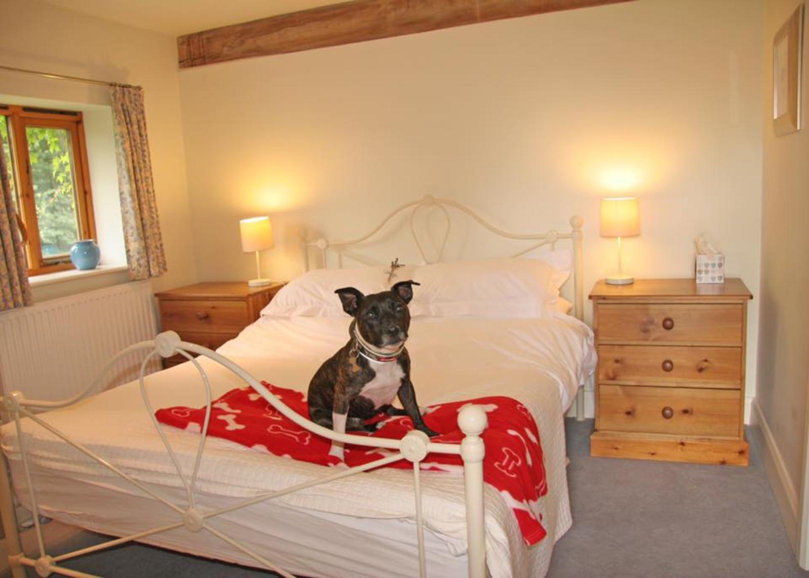 We are as dog friendly as it's possible to be! The Hayloft