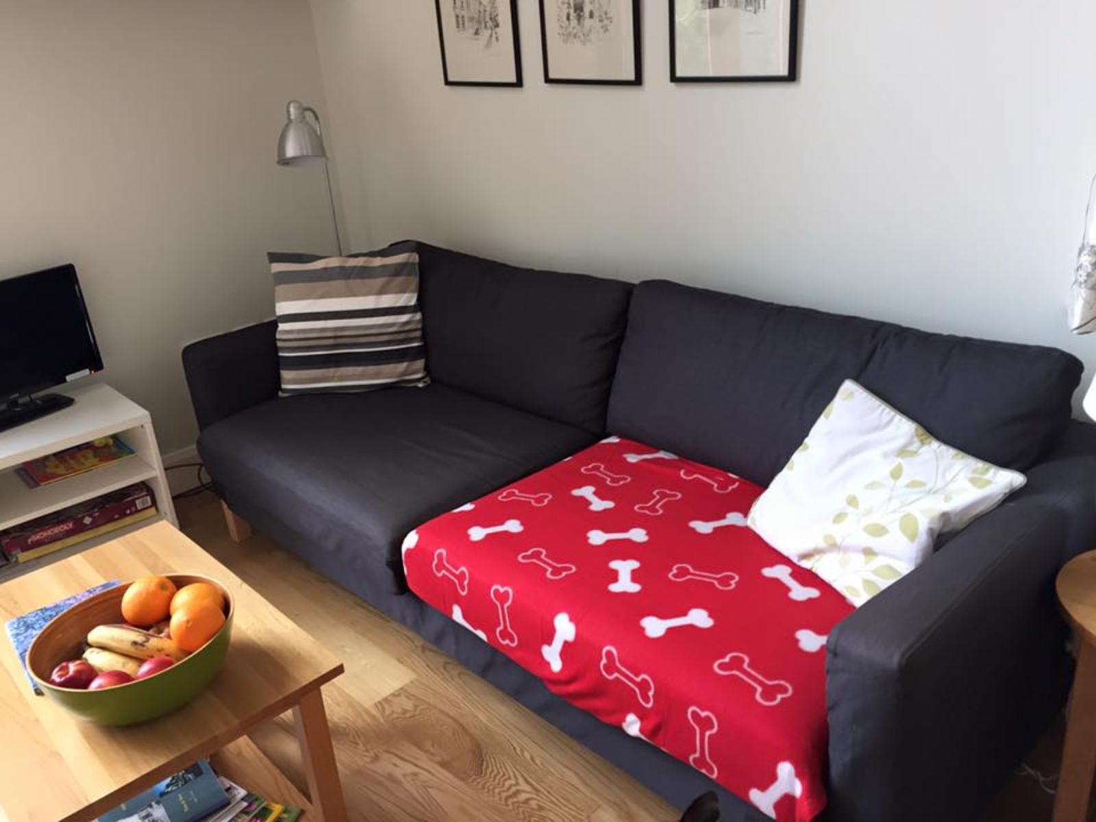 Dogs are welcome on the furniture using the blankets we provide The Hayloft Dogs are welcome on the furniture using the blankets we provide The Hayloft